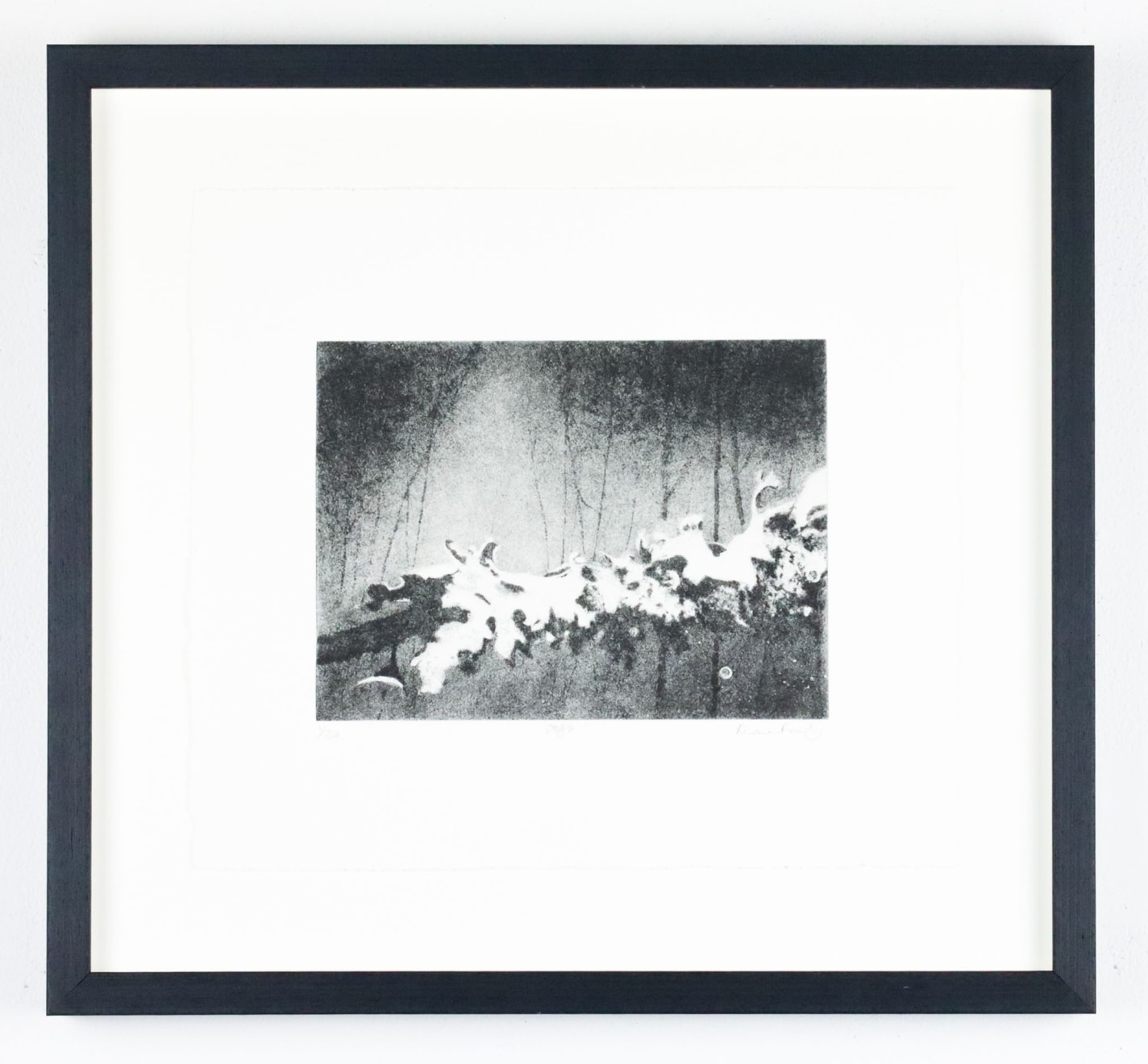 Fiona Fouhy, Gift, 2024