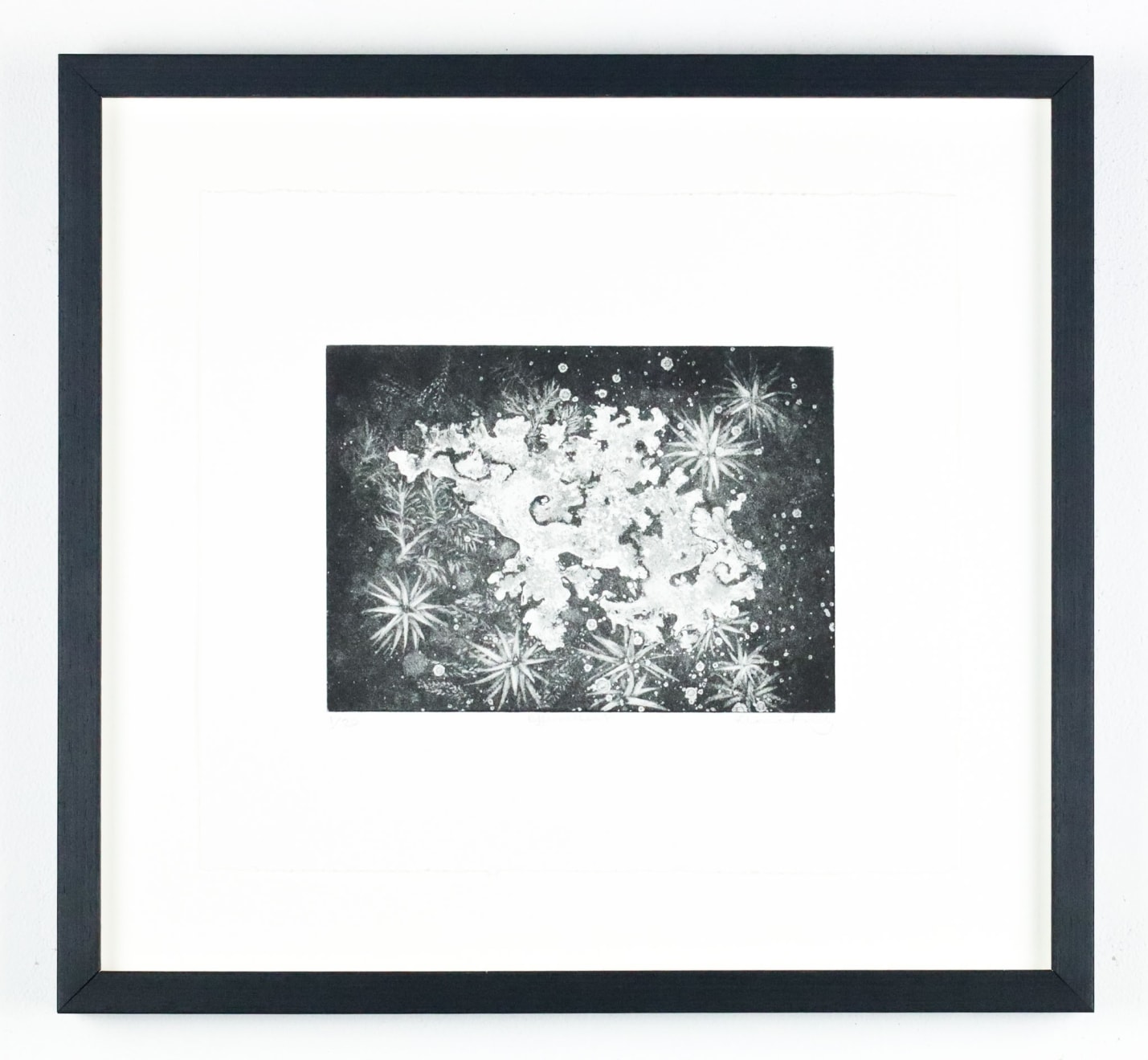 Fiona Fouhy, Effervescent, 2024