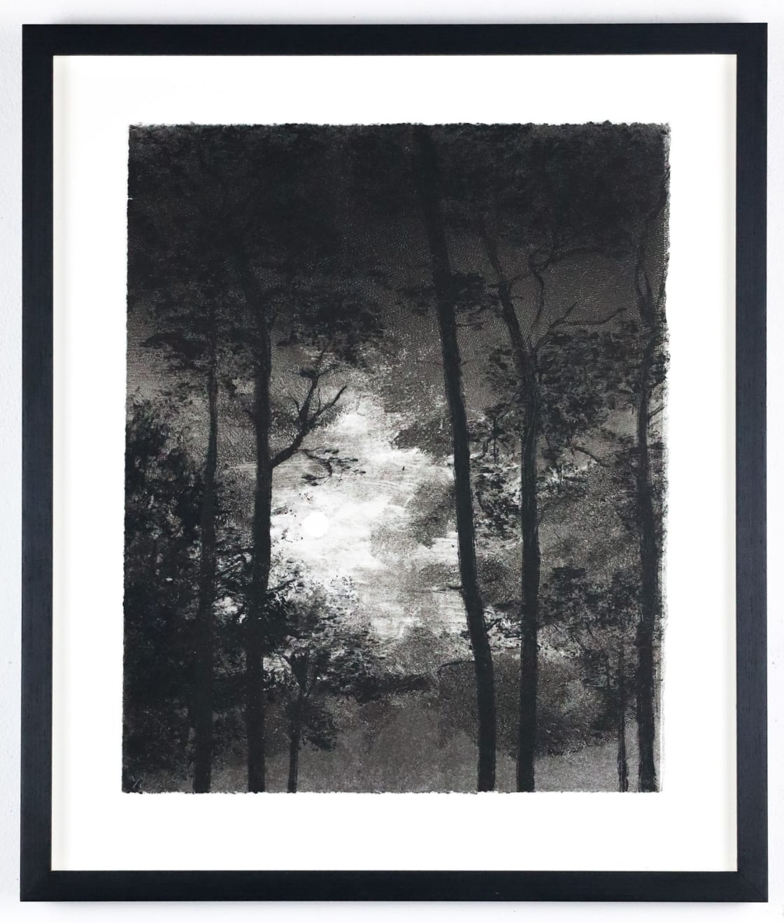 Fiona Fouhy, Within Reach, 2024