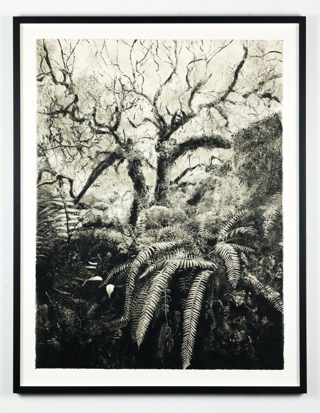 Fiona Fouhy, The Oracle, 2024