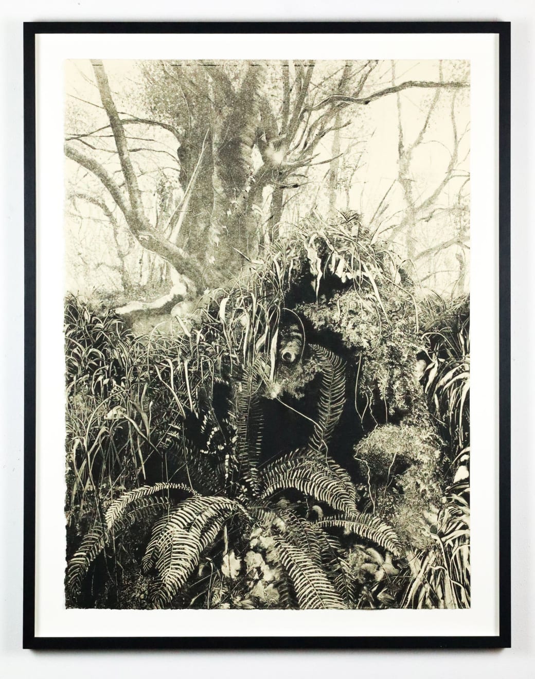 Fiona Fouhy, Manifest, 2024