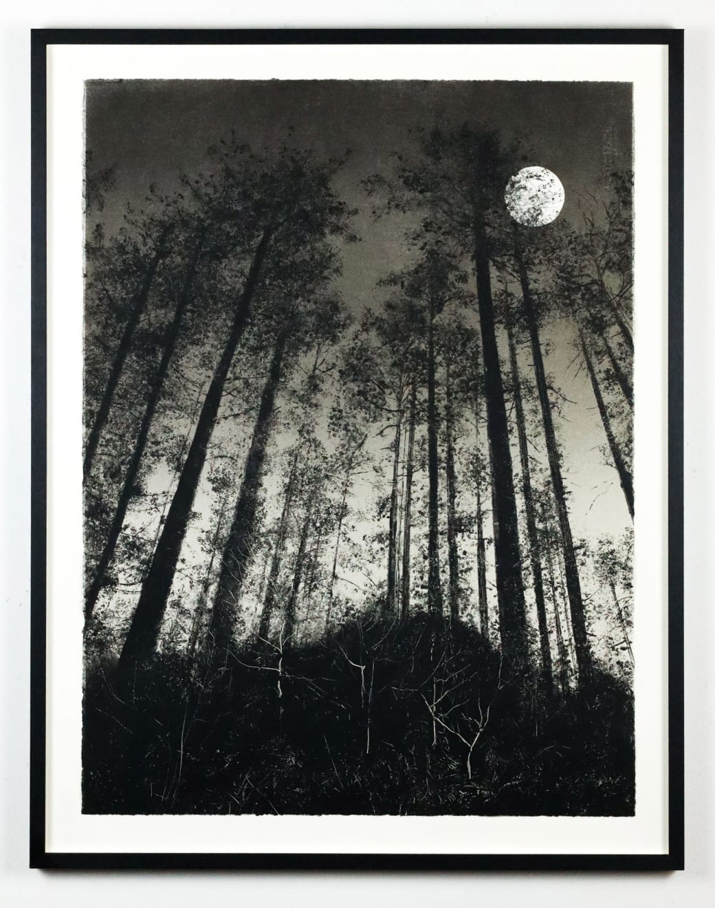 Fiona Fouhy, Librating, 2024