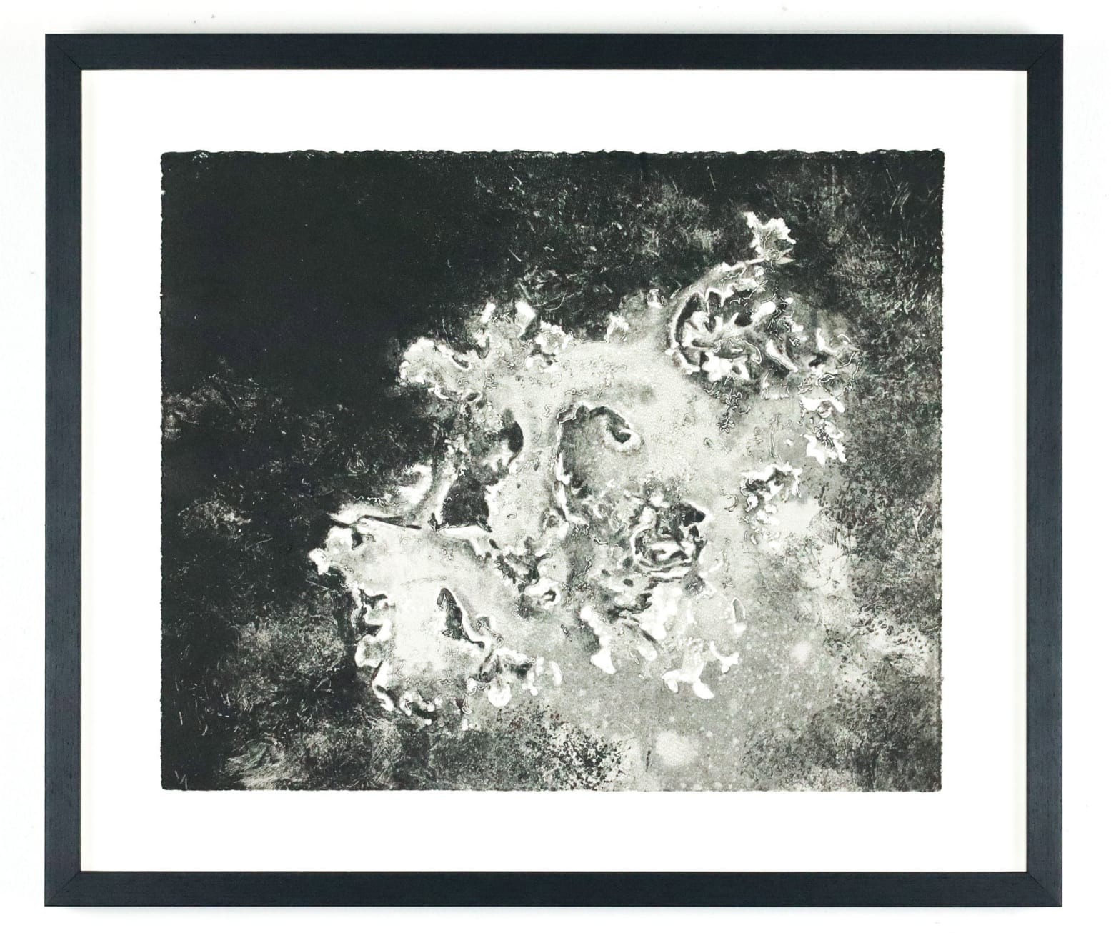 Fiona Fouhy, Unfurling, 2024