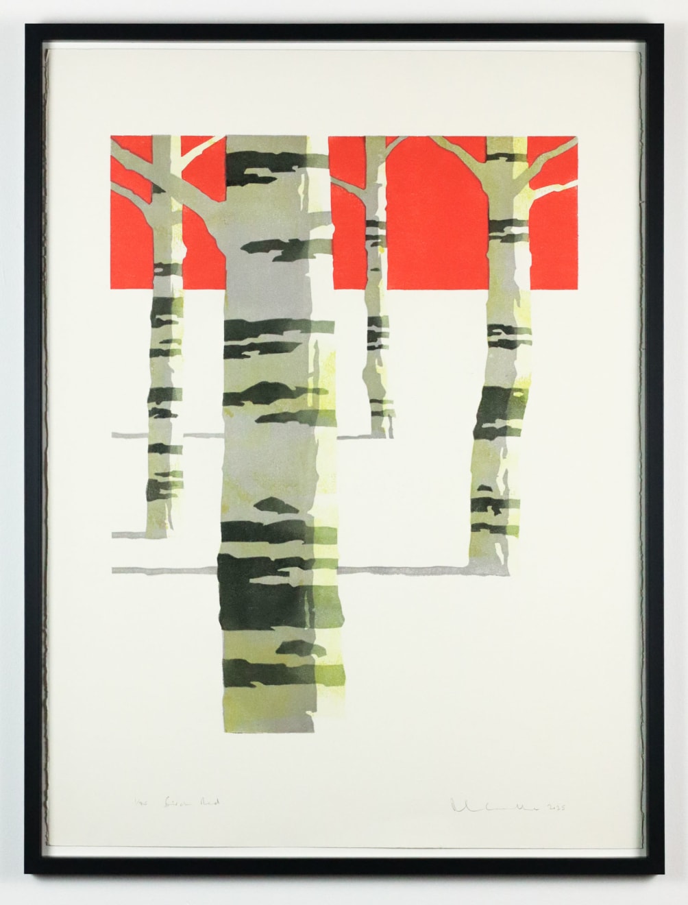 Paul Catherall, Silver Birch Red, 2025