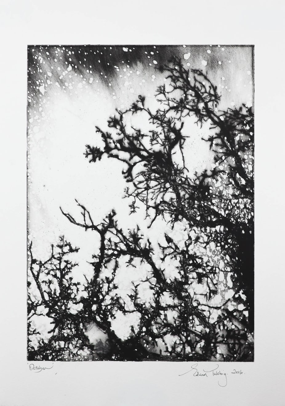 Edward Twohig, October, 2016