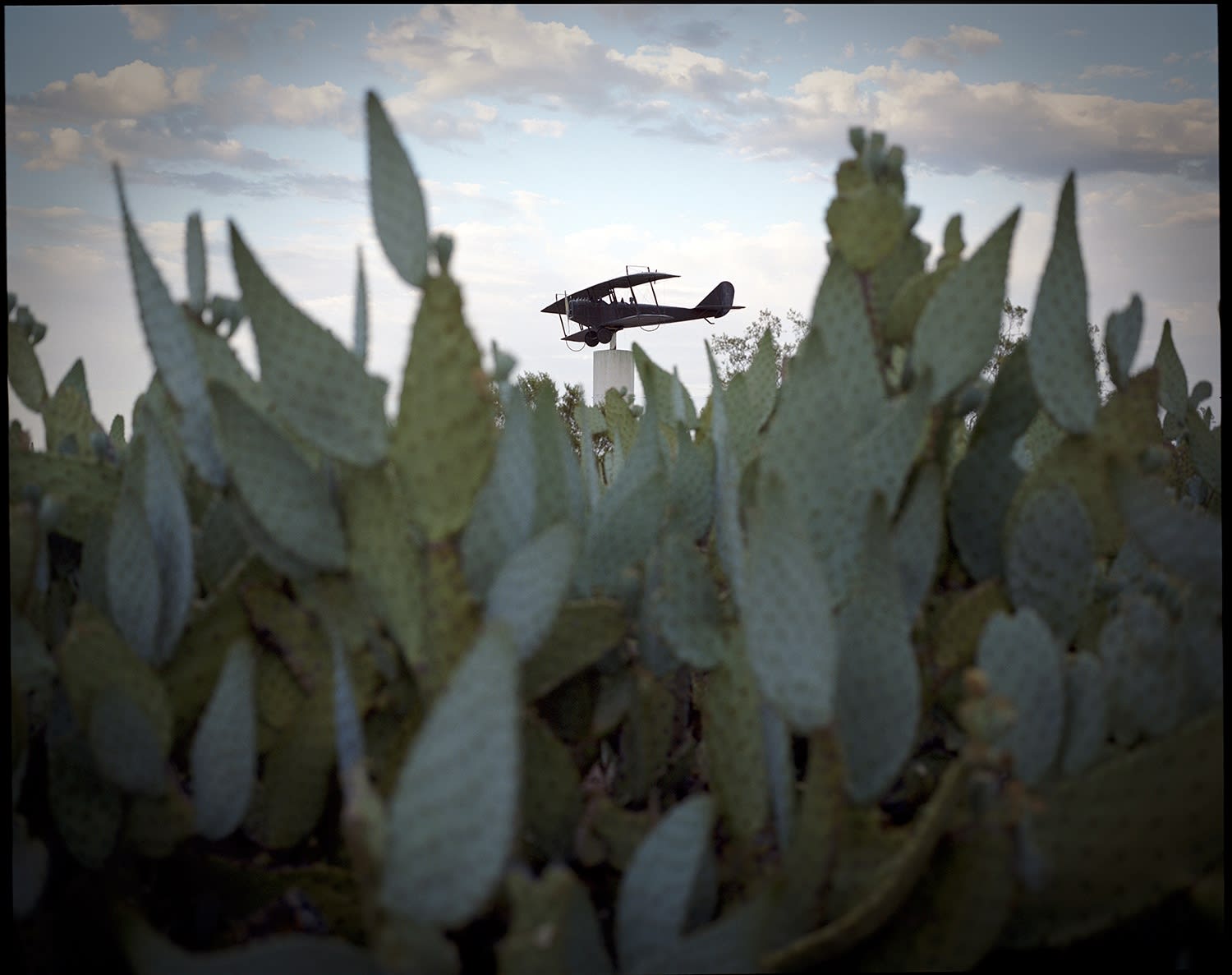 HÉCTOR MEDIAVILLA, LATINGO BORDER #4, 2010
