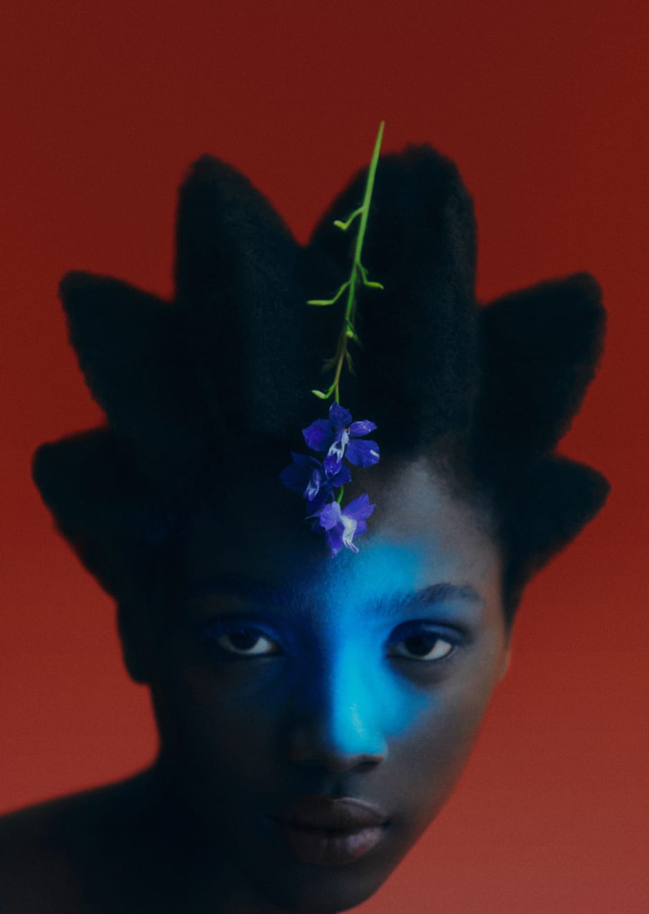 MAR+VIN, Flora II, 2021