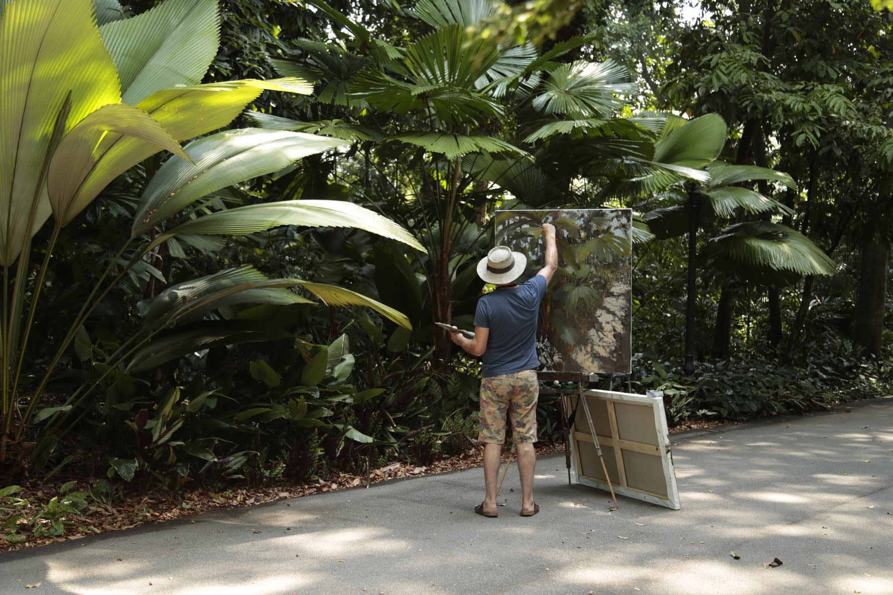 21 AUGUST 2019 MARANTA AVENUE, SINGAPORE BOTANIC GARDENS Jungle Vibes photo: Agata Byrne