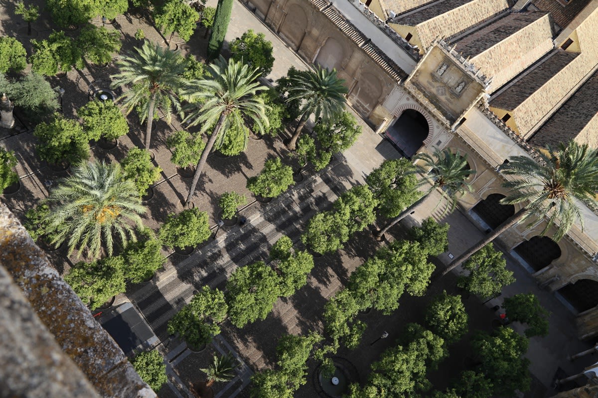 Patio de Naranjos, Cordoba Mosque Cathedral, Spain