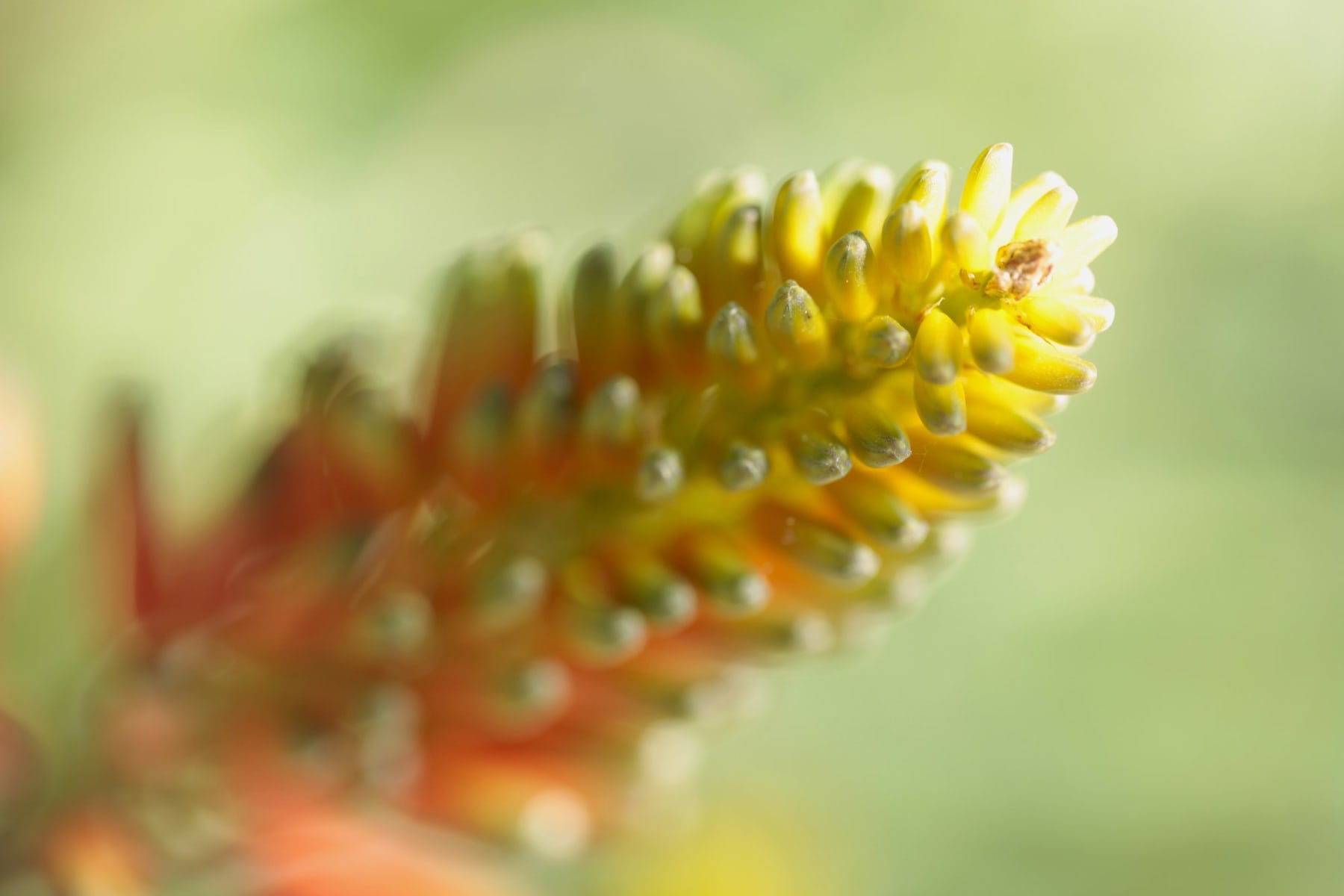_mg_4456.jpg