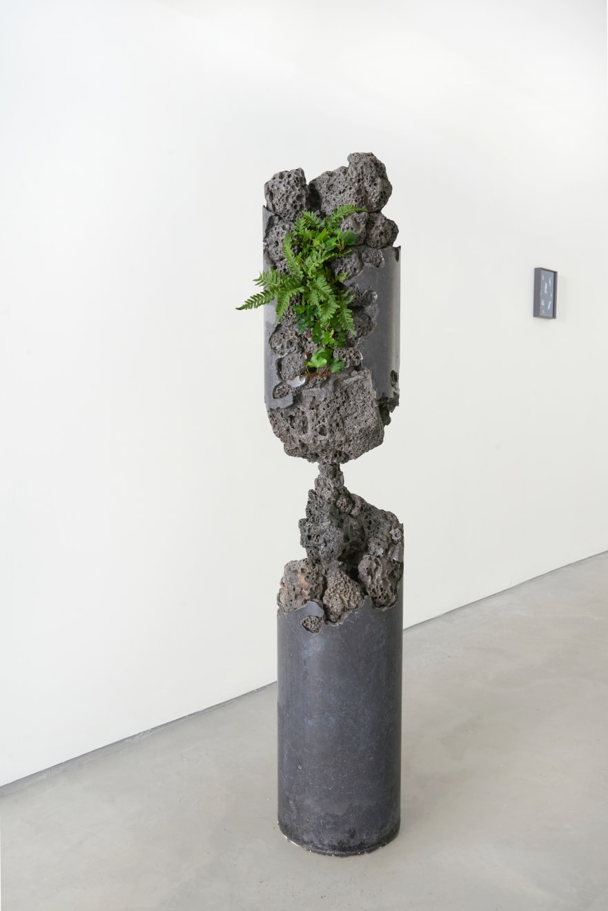 From Nature, Installation view 2021, Image by Scarlet Page