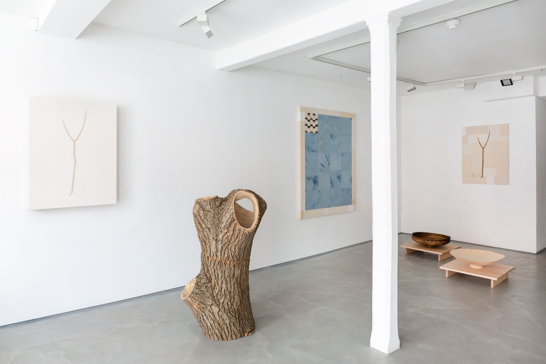 Forest and Found, Shallow Lands, Informality Gallery, Installation view 2021. Image Copyright of the artists.
