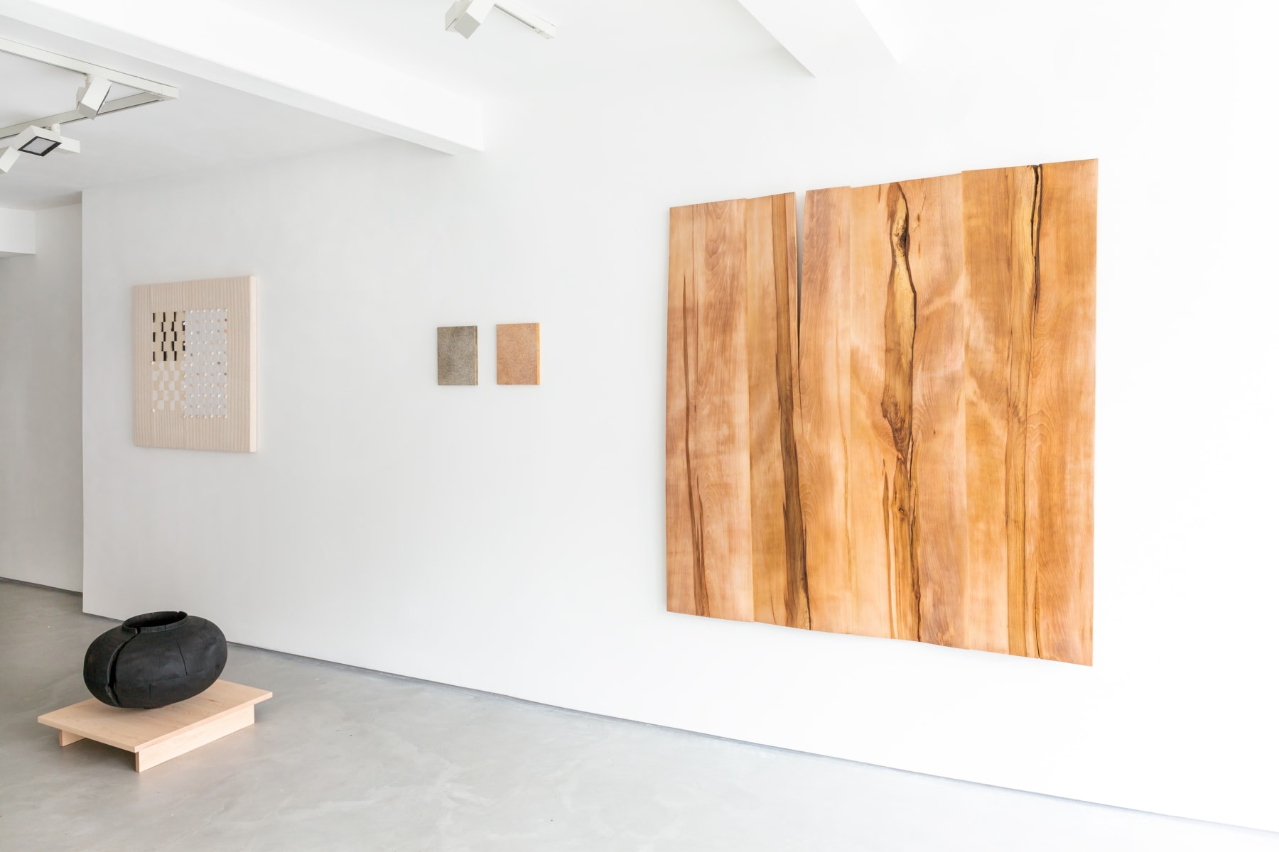 Forest and Found, Shallow Lands, Informality Gallery, Installation view 2021. Image Copyright of the artists.