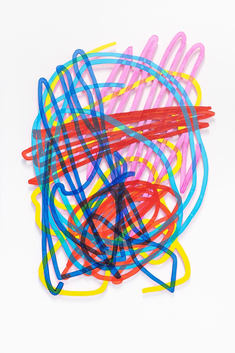 Ralph Anderson, Fit the Myth, 2019