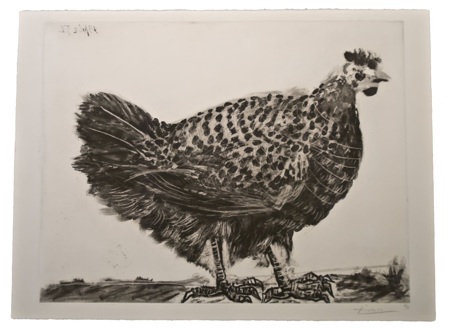 PABLO PICASSO, La Poule (Bloch 694), 1952 (June 23, 25, Paris)