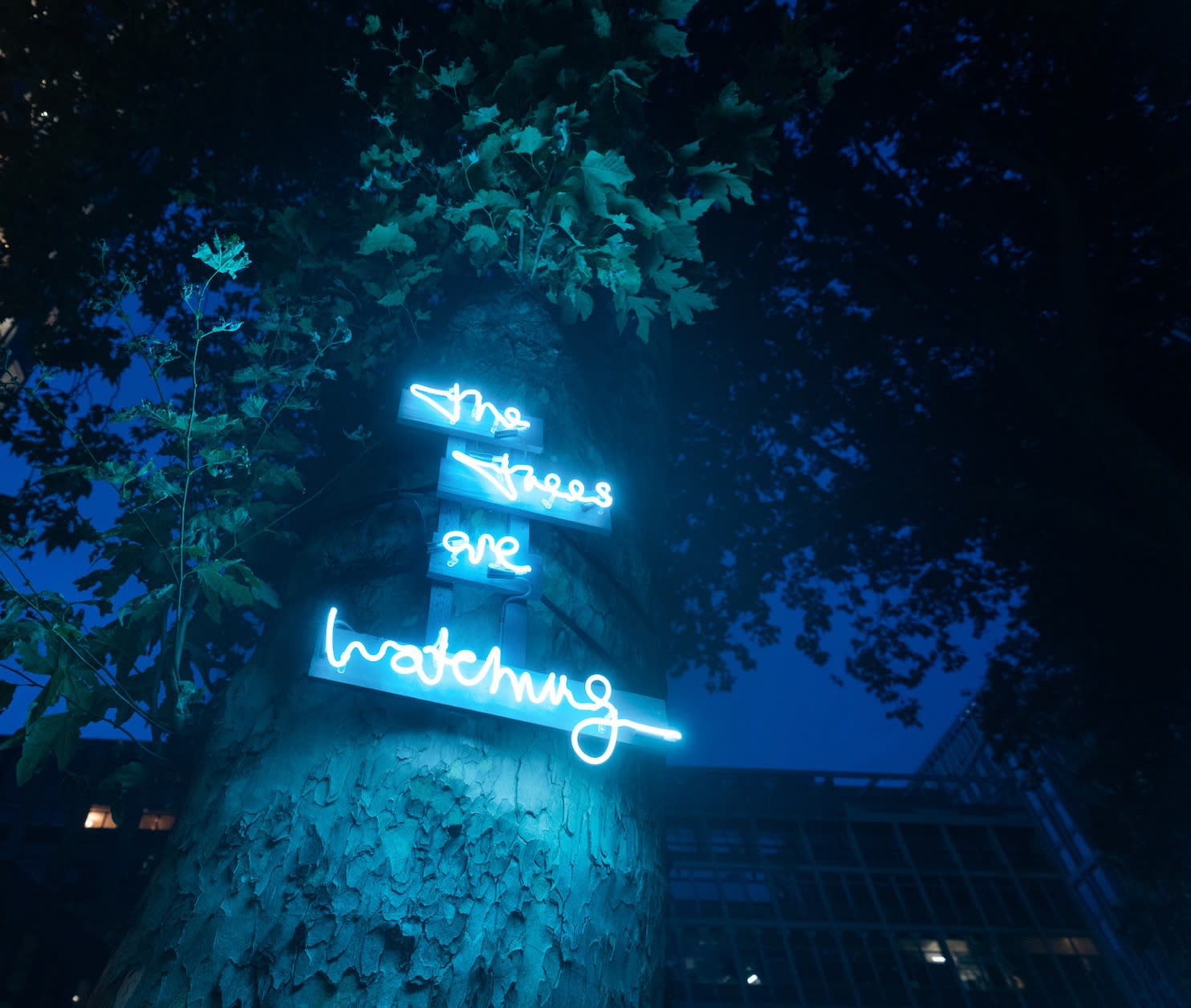 The trees are watching - Public Light Art commissioned by Westminster Council via MT Art