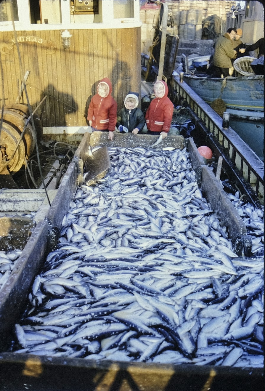 My entrepreneurial journey started young... I’d later learn how to catch mackerel and sell them to the nuns at the local convent I'm the little one