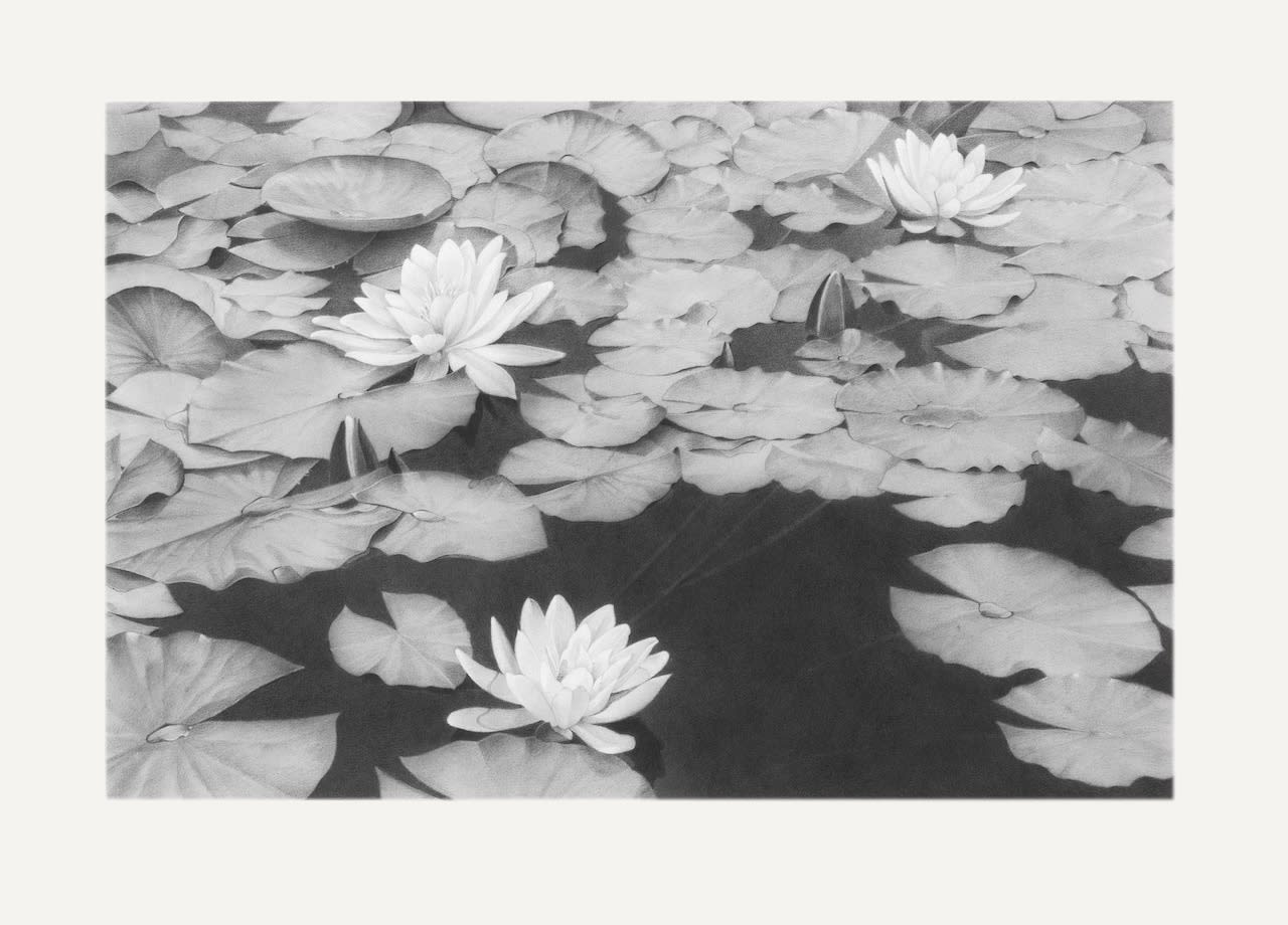 Li Trieb, Seerosen V, 6.3.2013-8:31 – 24.9.2013-17:03 | 4153 Minuten gezeichnete Zeit