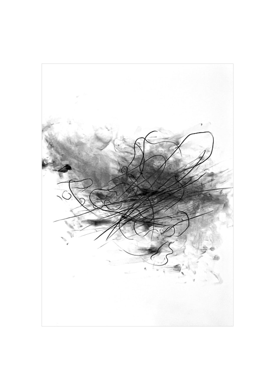 Kuroshio | Marea Nera, 2025-E13, cm 72.5 X 56.5, matita e carboncino su carta Arches