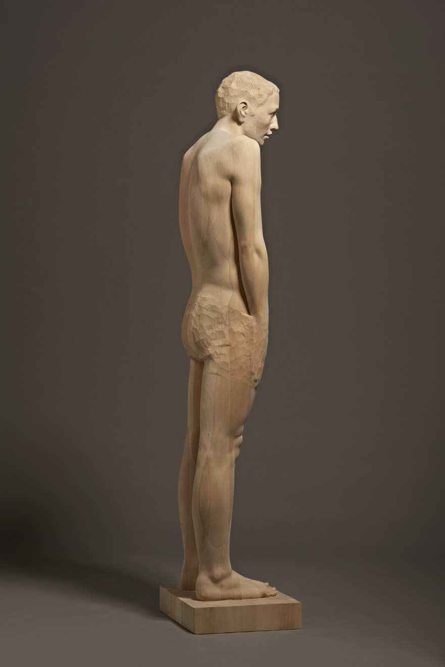 Mario Dilitz, No 138, 2014