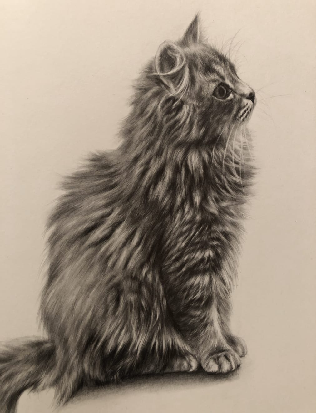 Drawings, Persia, 2019