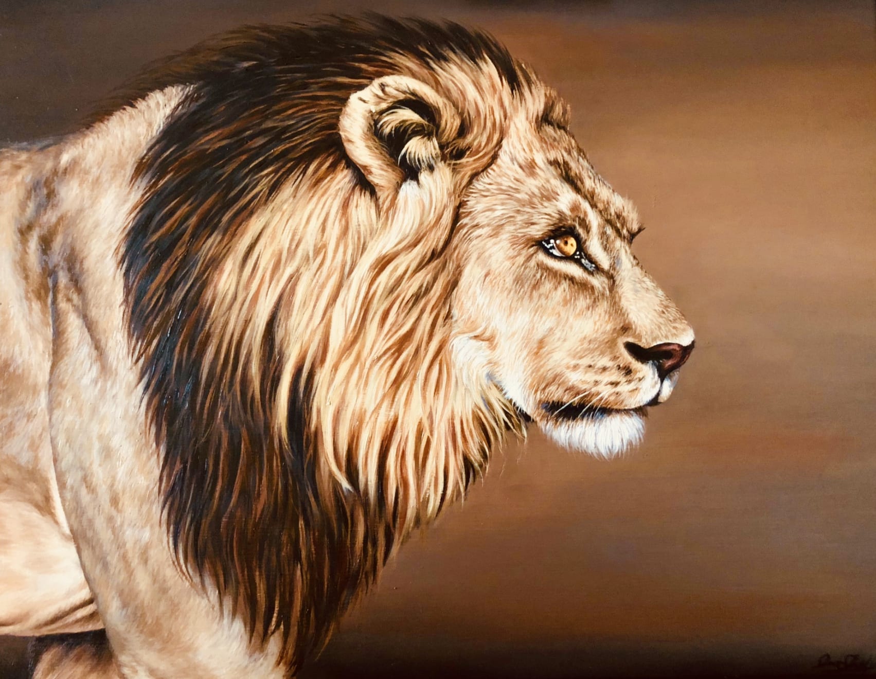 Animals, Aslan, 2017