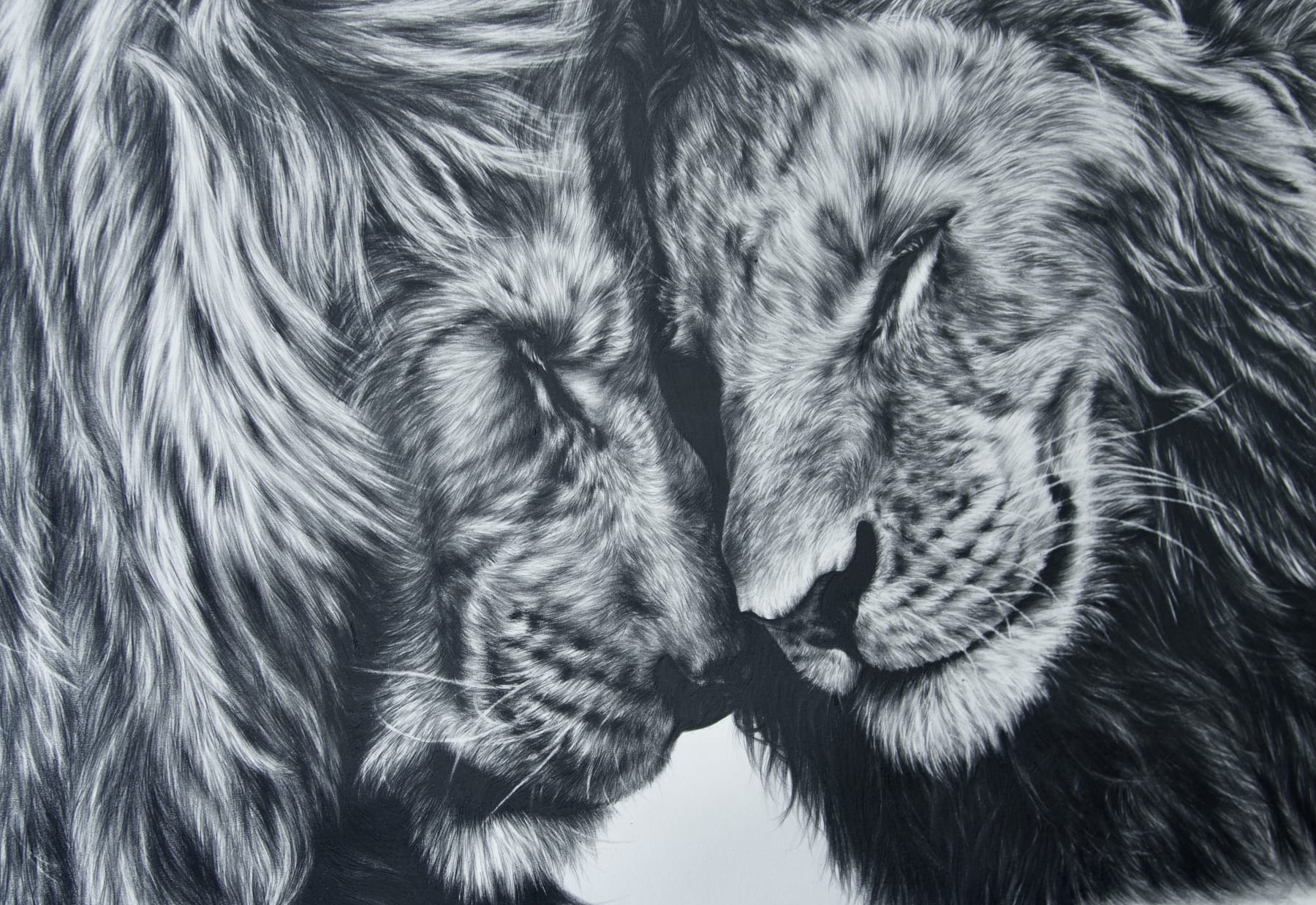 Animals, A brother’s bond, 2020