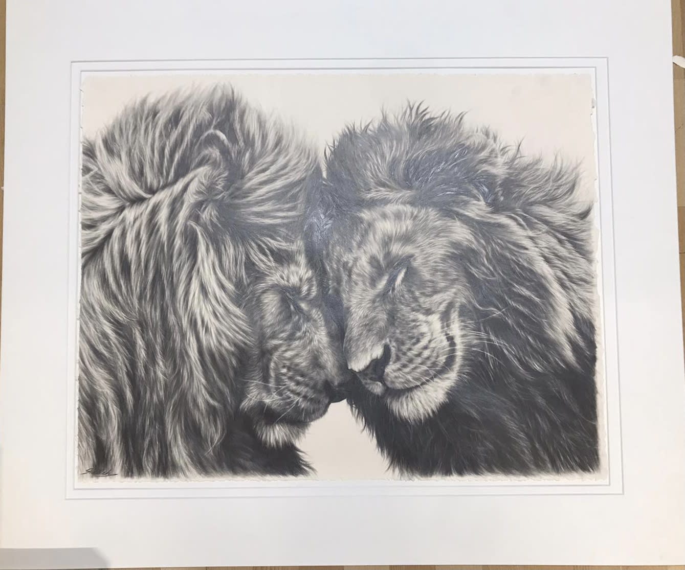 Animals, A brother’s bond, 2020