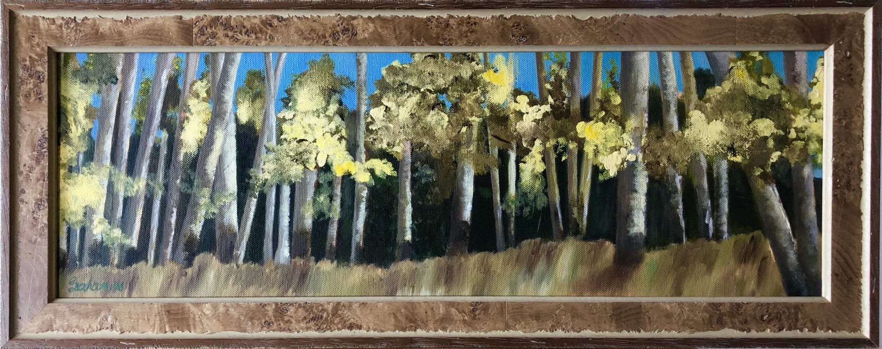 Sahar Paydar, Aspen Grooves