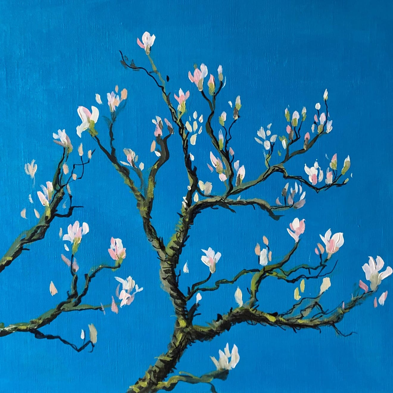 Shabs Beigh, Magnolia In Spring 3 - Limited Edition Print, 2021