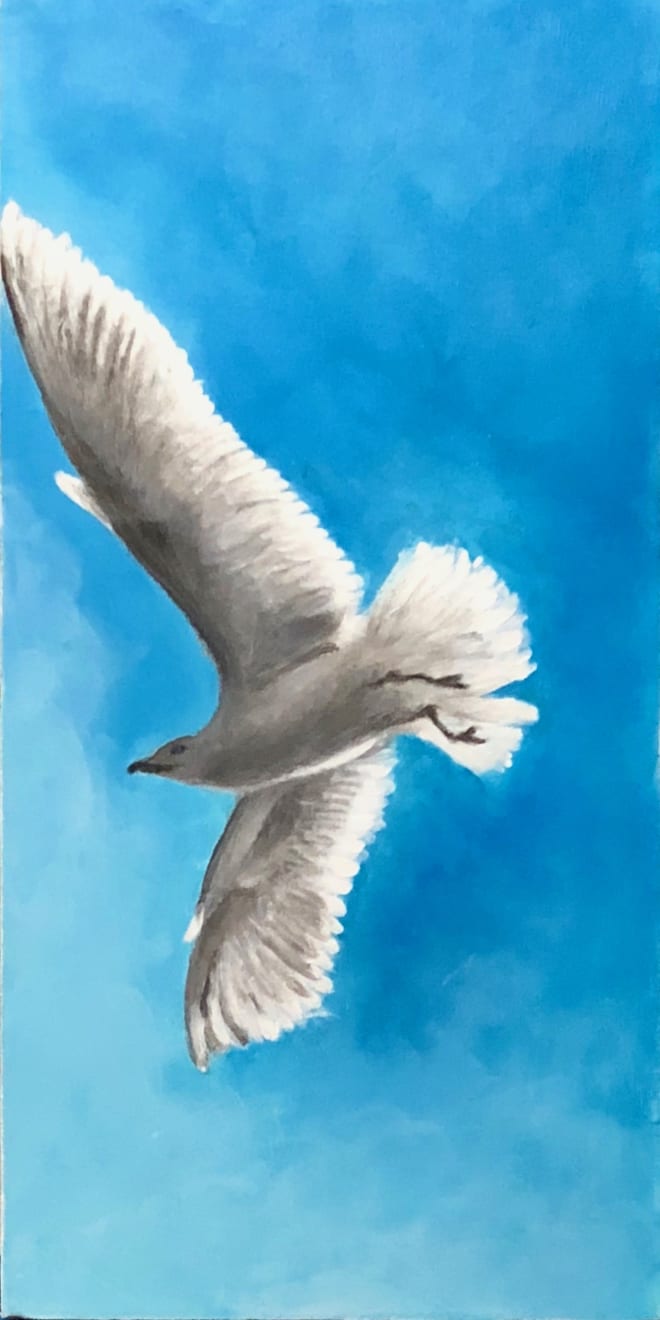 Shabs Beigh, Bobby the Seagull, 2018