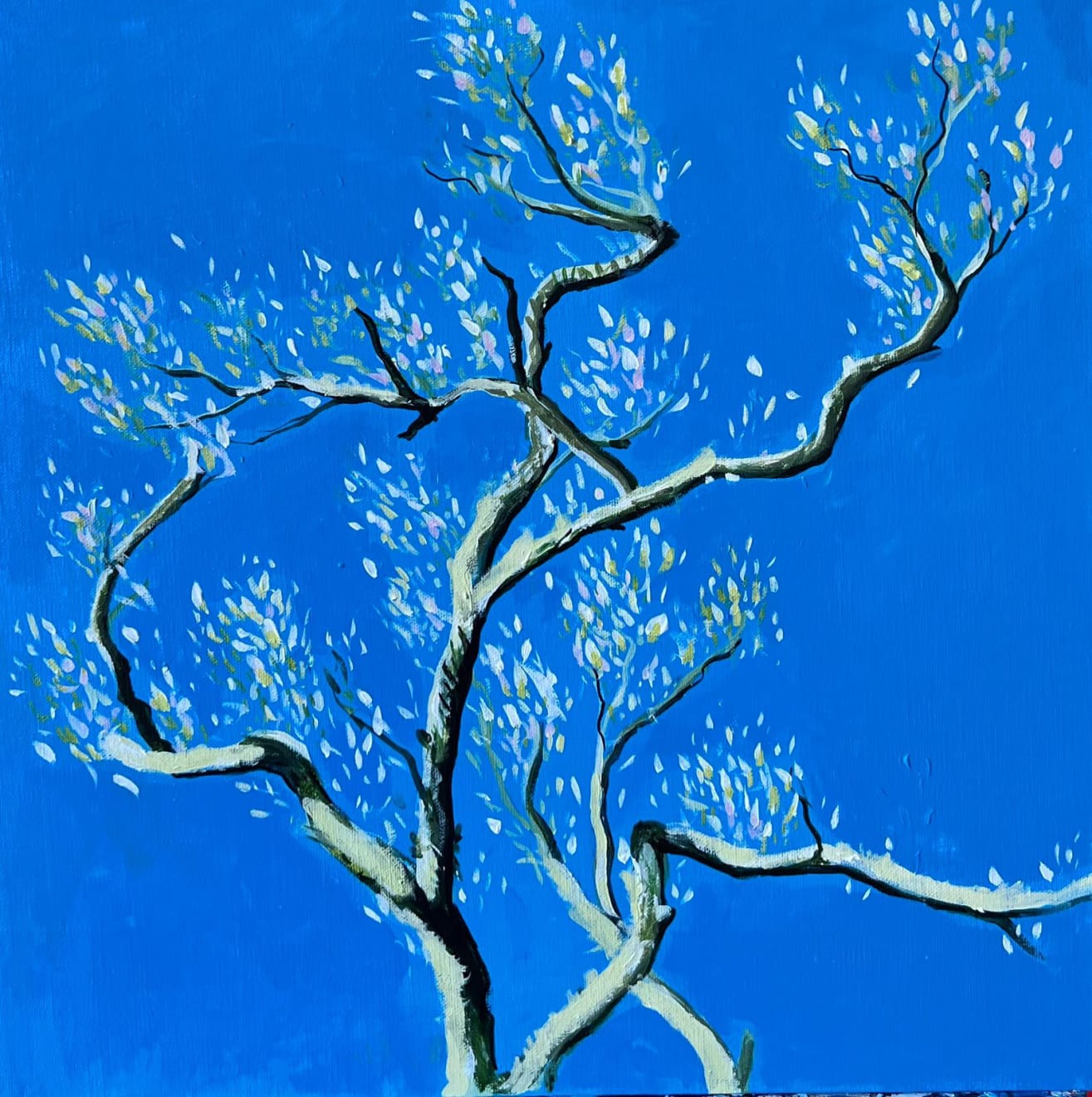 Shabs Beigh, Magnolia In Spring 5, 2022