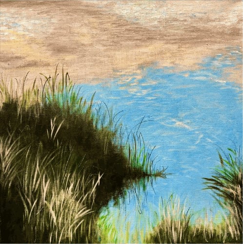 Shabs Beigh, Reflections