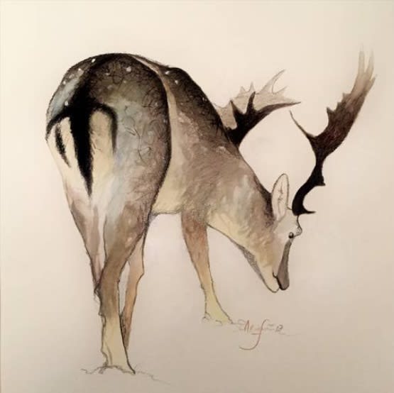 Shabs Beigh, Stag Study, 2019