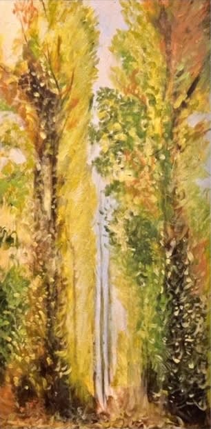 Shabs Beigh, Monet's Poplars