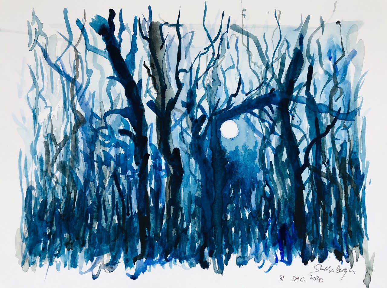 Shabs Beigh, Moonlit Sky, 2020