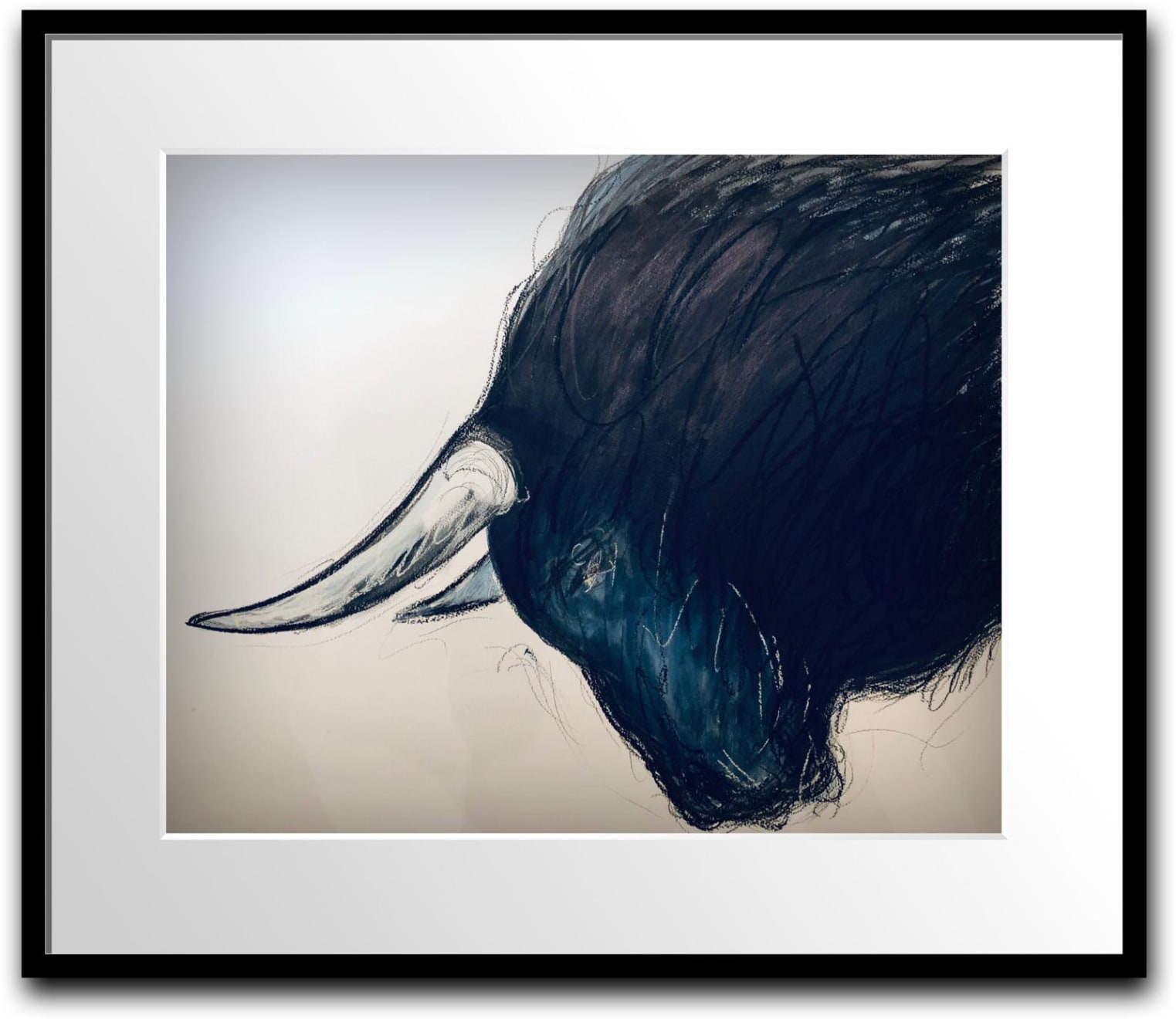 Shabs Beigh, Bull Study 2, 2019