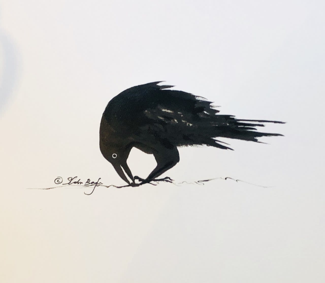 Shabs Beigh, Raven, 2020