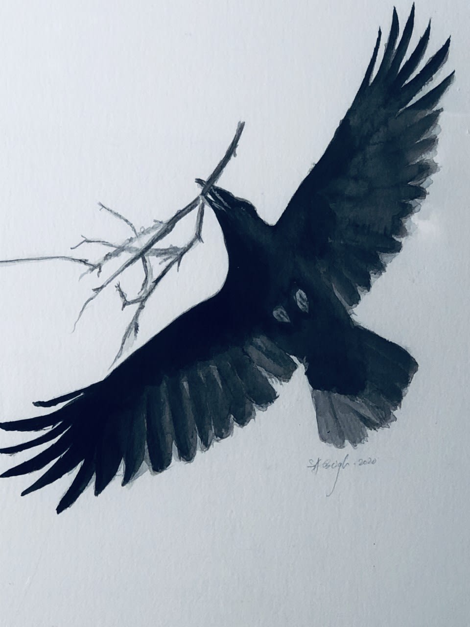 Shabs Beigh, Nest, 2020