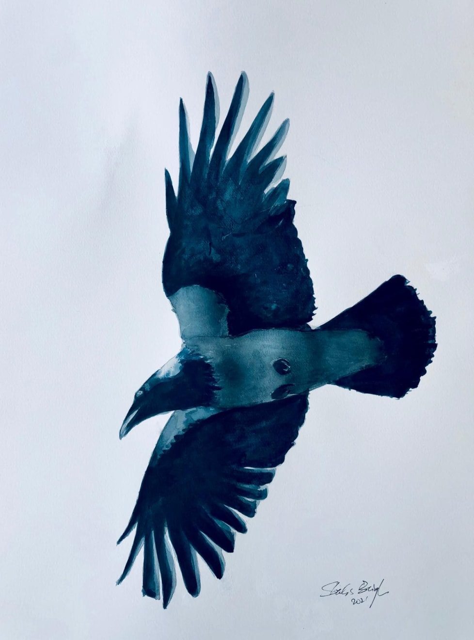 Shabs Beigh, Flight 6, 2021