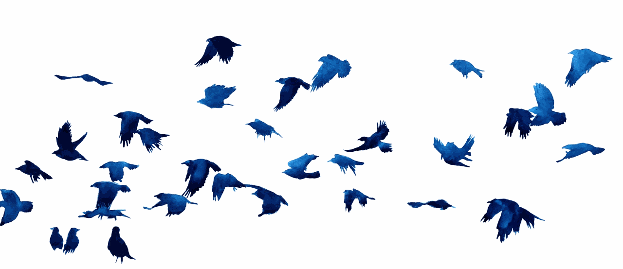 Shabs Beigh, Flight 3, 2021