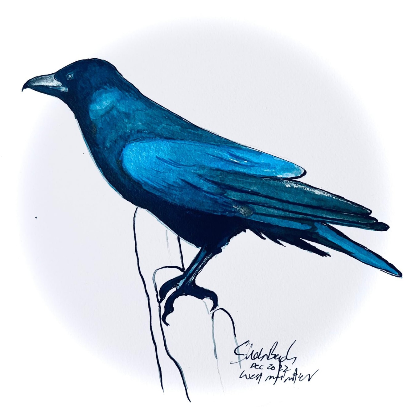 Shabs Beigh, Blue Raven, 2022