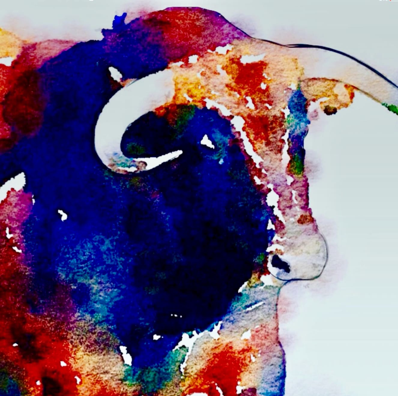 Shabs Beigh, Colourful Bull, 2019