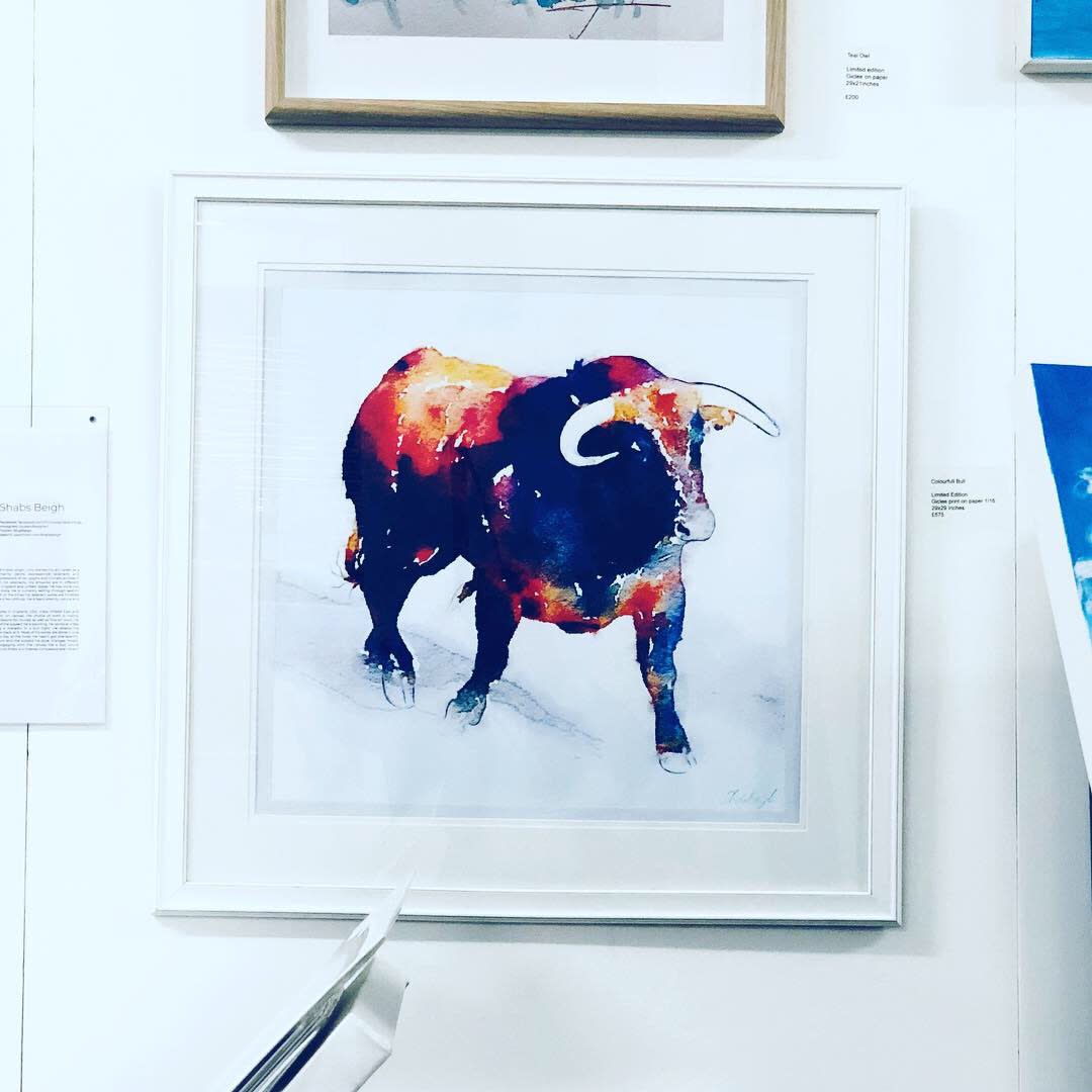 Shabs Beigh, Colourful Bull, 2019