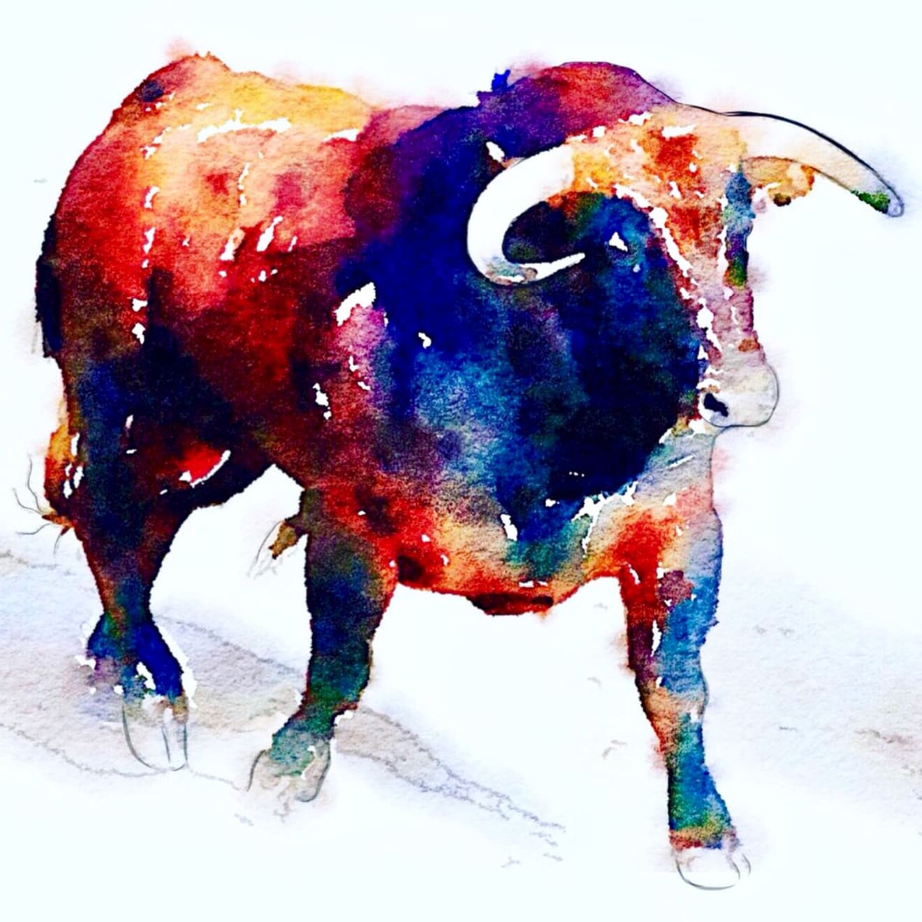 Shabs Beigh, Colourful Bull, 2019