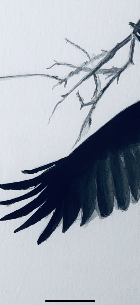 Shabs Beigh, Nest, 2020