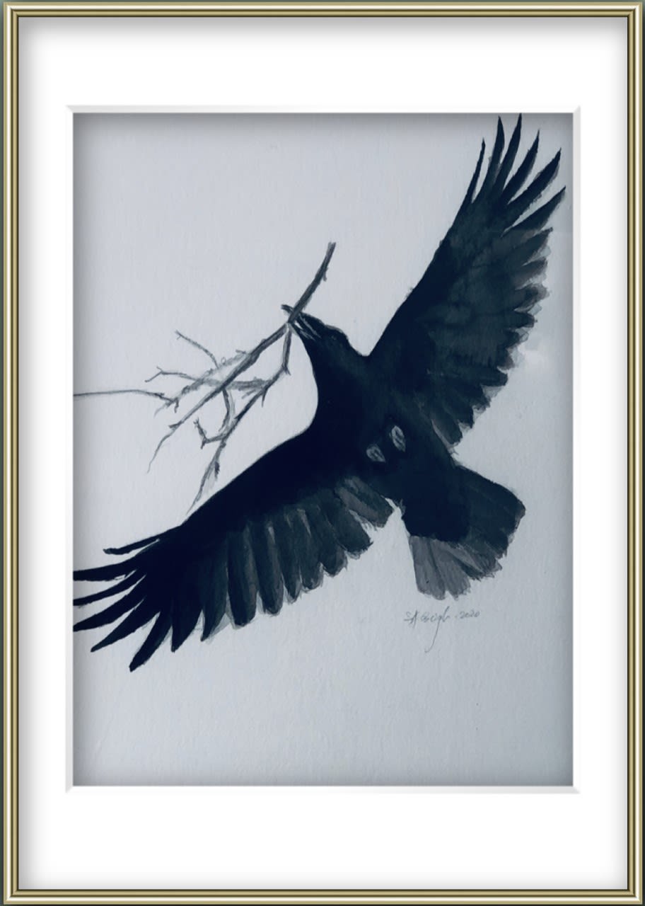 Shabs Beigh, Nest, 2020