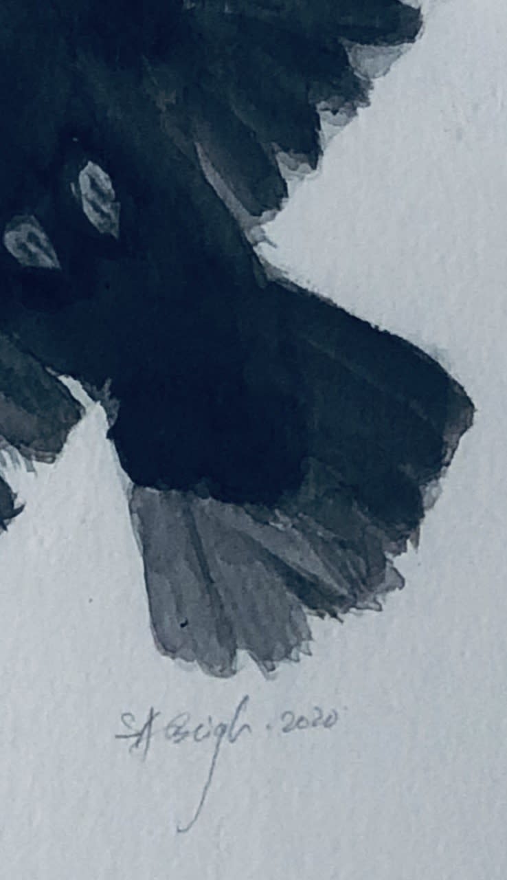 Shabs Beigh, Nest, 2020