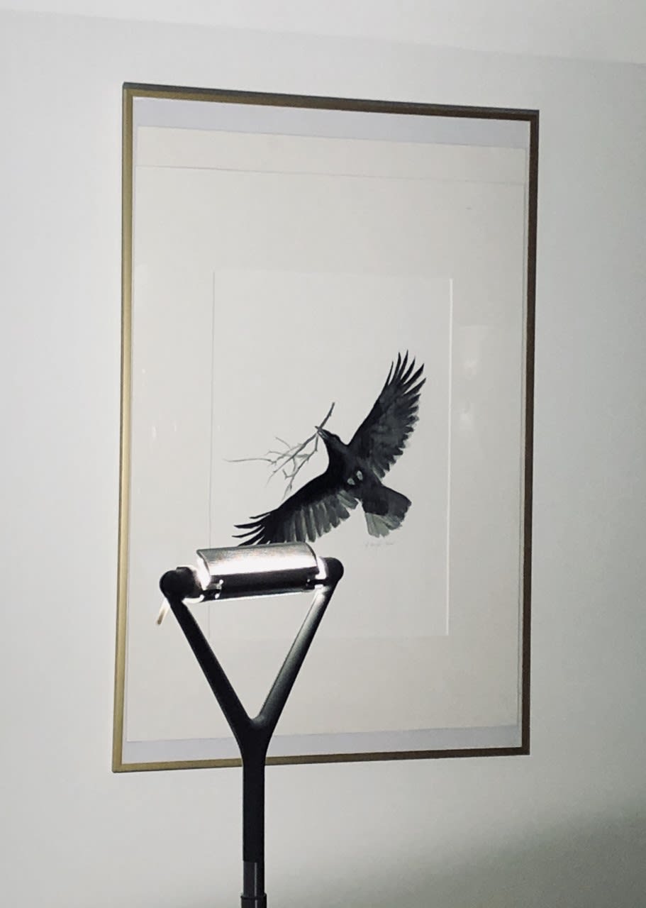 Shabs Beigh, Nest, 2020