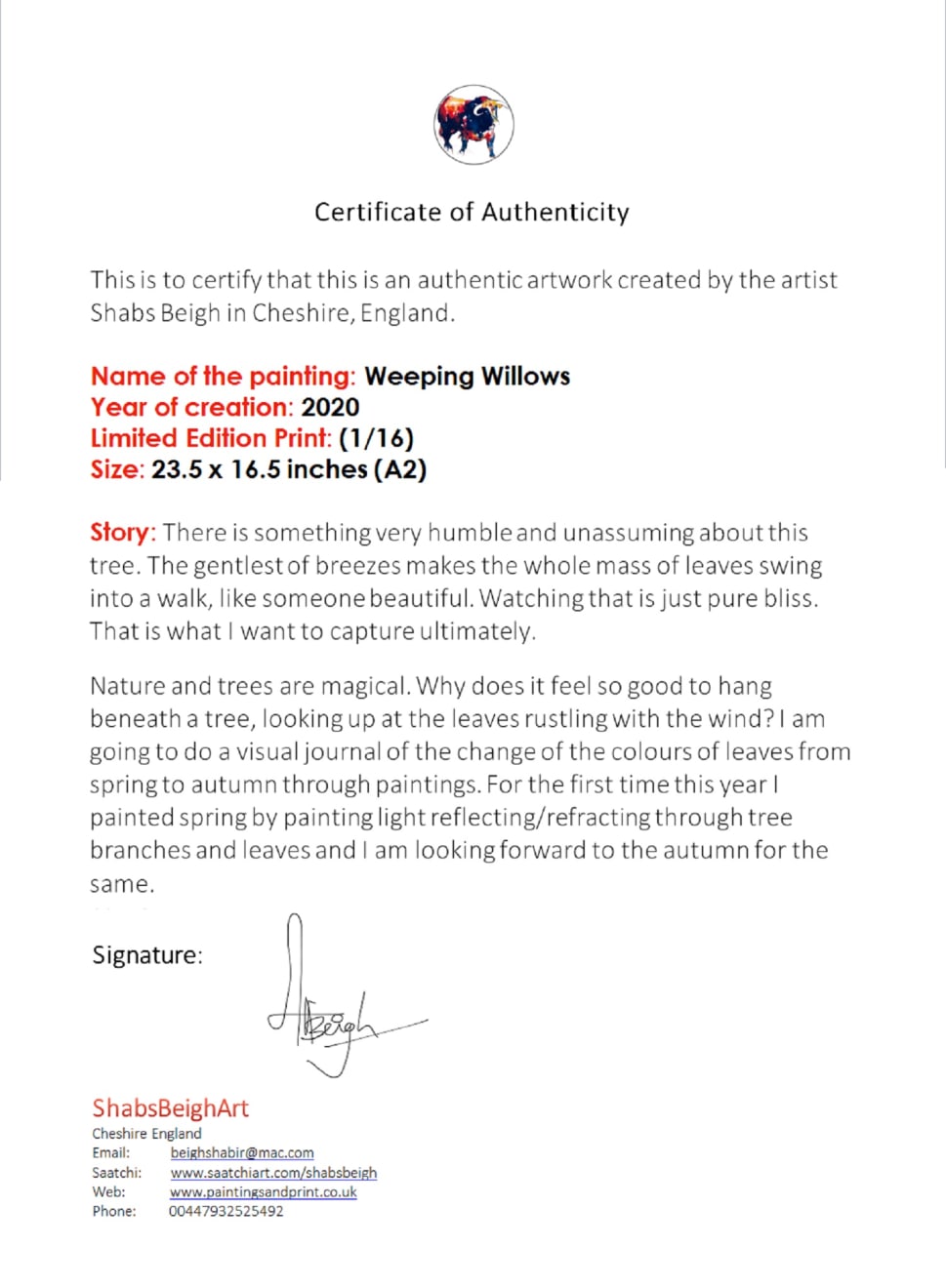 Shabs Beigh, Weeping Willows, 2020